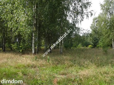 Działka dla inwestora - 2