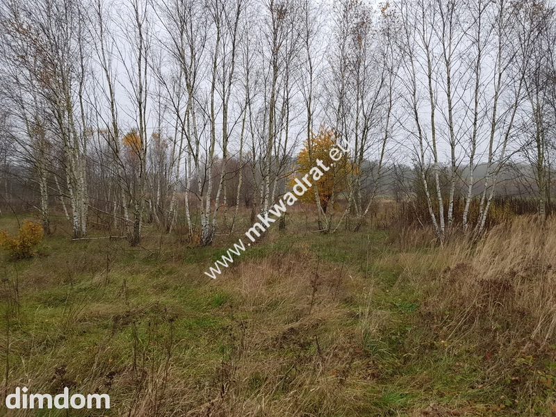 Działka urokliwa częściowo zadrzewiona. - 78403073.jpg