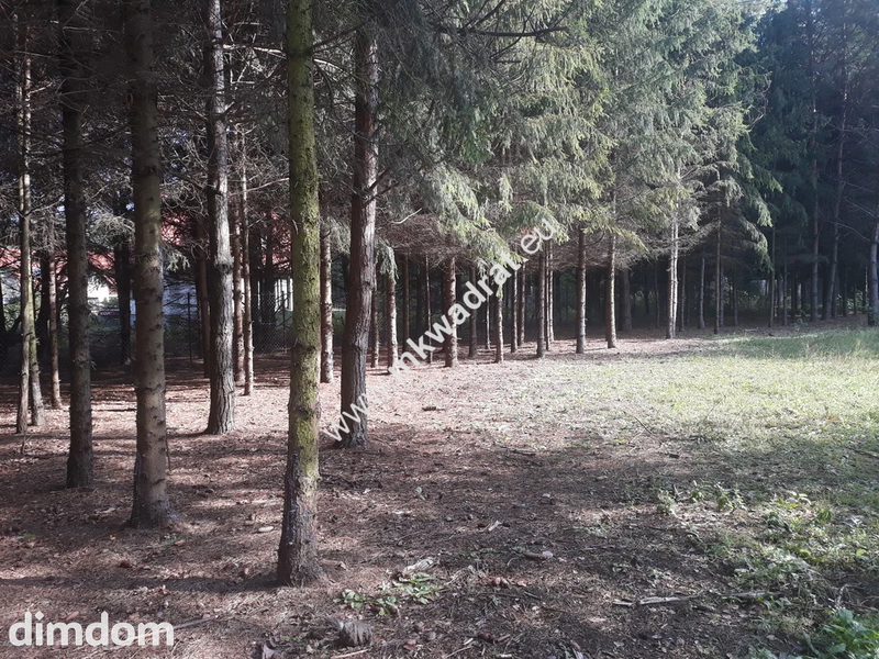 Atrakcyjna działka w Osowcu - 78607754.jpg