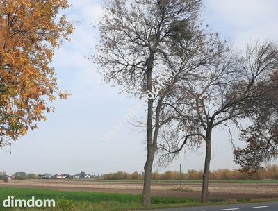 Działka przemysłowa w dobrej lokalizacji