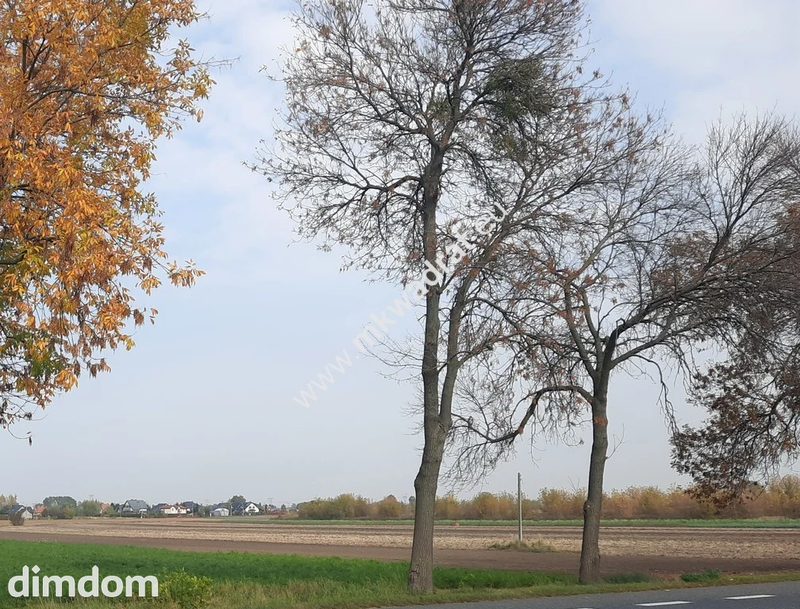 Działka przemysłowa w dobrej lokalizacji - 89410839.jpg