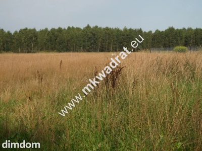 Siestrzeń działka 1500m2