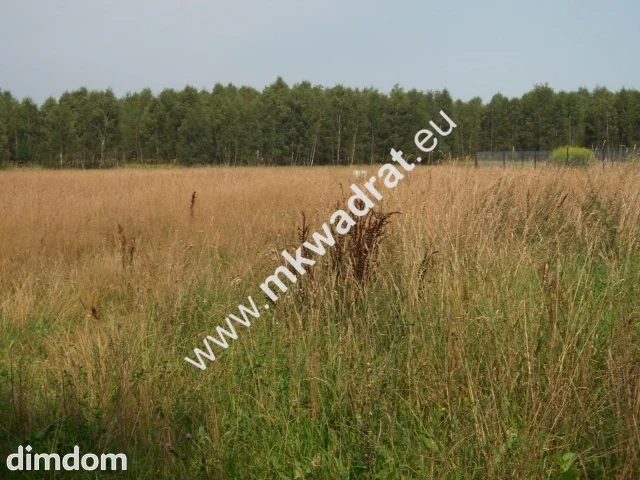Siestrzeń działka 1500m2 - 80422360.jpg
