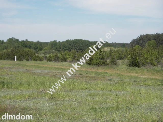 Działka w sąsiedztwie lasu - 81007178.jpg