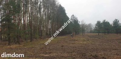MPZP | Wszystkie media | Działki po  850m2 | Super - 2