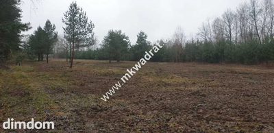 MPZP | Wszystkie media | Działki po  850m2 | Super - 3