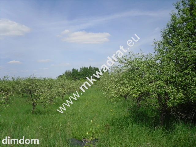 działki dla zabudowy bliźniaczej - 85426268.jpg