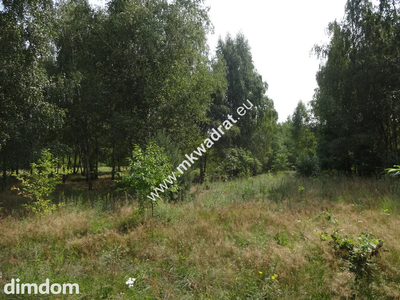 Ojrzanów 1000m2 w dobrej cenie LAS Media MPZP!!! - 3