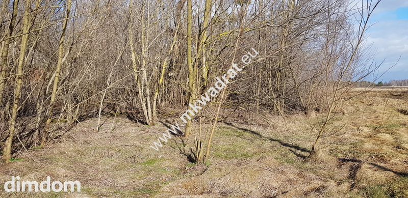 Działki w okol. Sochaczewa MEDIA!! Warto! - 86000043.jpg