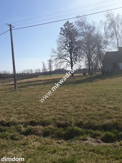 Działka położona w miejscowości Kurantów gmina Radziejowice. Składa się z trzech działek o pow. 3903 + 27355 ( z czego 1700 m2 jest lasu )+ 613 m2.Każda z działek jest połączona z… - 4