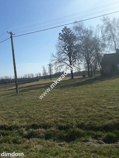 Działka położona w miejscowości Kurantów gmina Radziejowice. Składa się z trzech działek o pow. 3903 + 27355 ( z czego 1700 m2 jest lasu )+ 613 m2.Każda z działek jest połączona z… - 5