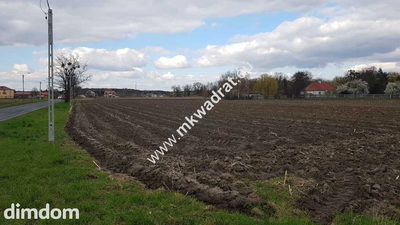 Okazja Działki Leszno k/Błonia - 5