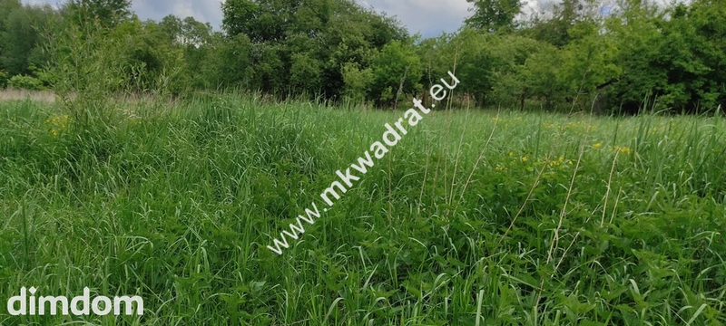 Wólka Działka budowlana z MPZP - 89131919.jpg