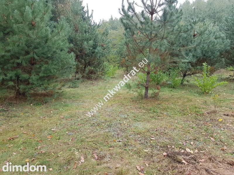 Urokliwe miejsce w Kaniach - 111946851.jpg