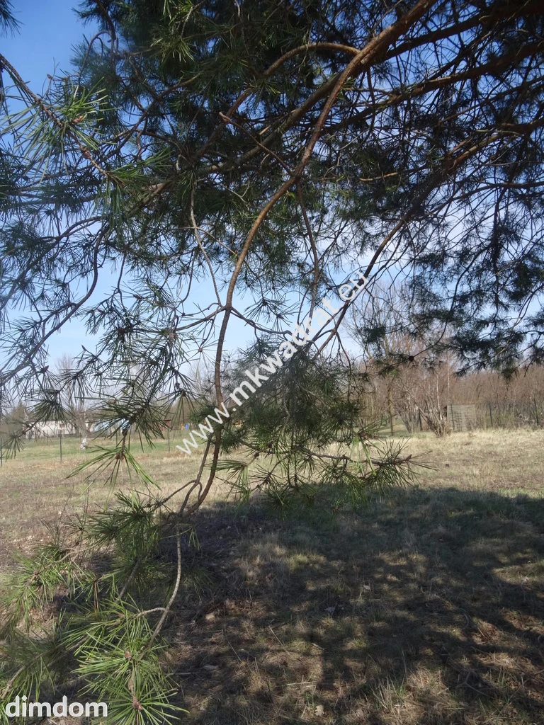 Działka blisko zbiornika komorowskiego - 89392411.jpg