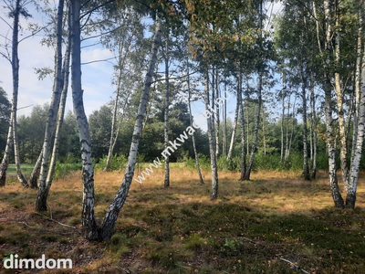 Śliczna działka Bieganów 1700 m2 z MPZP!