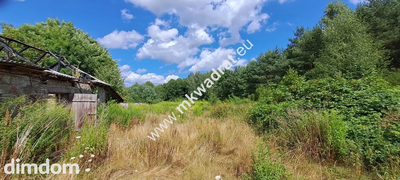 Siedlisko + WARUNKI ZABUDOWY - 9400m2 lOkazja! - 4