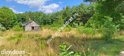 Siedlisko + WARUNKI ZABUDOWY - 9400m2 lOkazja! - 3