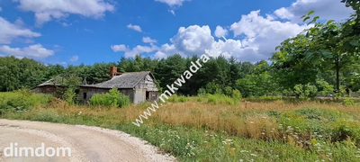 Siedlisko + WARUNKI ZABUDOWY - 9400m2 lOkazja! - 5