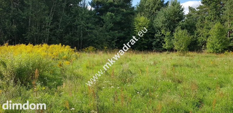 Działka z pozwoleniem na budowę - 94485864.jpg