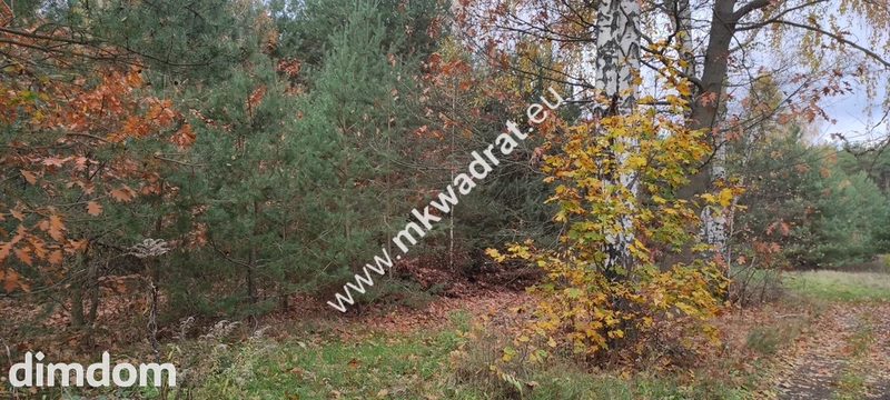 Ładna okolica MeDiA MPZP Okazja! super cena! - 95321660.jpg