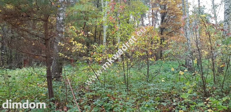 DZIAŁKA  leśna z prawem zabudowy droga gminna - 95154506.jpg