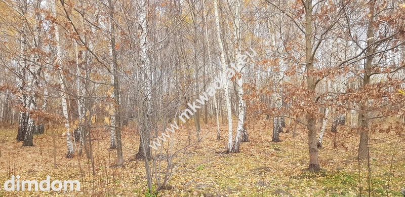 ⭐⭐⭐⭐działka siedliskowa z WZ na dom + bud.gar⭐⭐⭐⭐ - 95437312.jpg