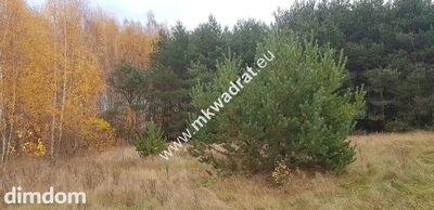 ⭐⭐⭐⭐działka siedliskowa z WZ na dom + bud.gar⭐⭐⭐⭐ - 4