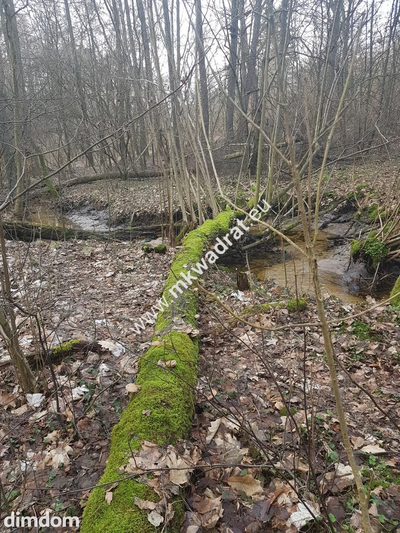 ⭐⭐⭐⭐2500 m2 urokliwa działka przy lesie z MPZP⭐⭐⭐⭐