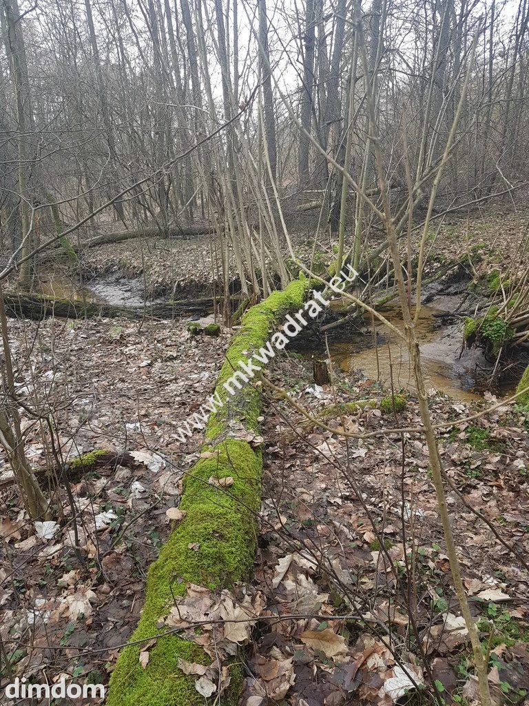 ⭐⭐⭐⭐2500 m2 urokliwa działka przy lesie z MPZP⭐⭐⭐⭐ - 97010876.jpg