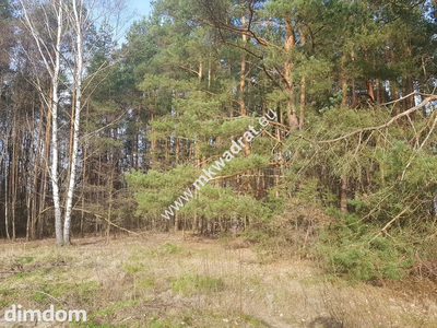⭐⭐⭐⭐2500 m2 urokliwa działka przy lesie z MPZP⭐⭐⭐⭐ - 2