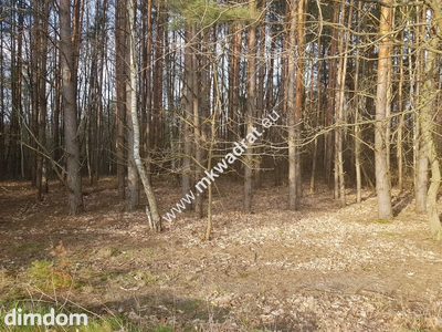 ⭐⭐⭐⭐2500 m2 urokliwa działka przy lesie z MPZP⭐⭐⭐⭐ - 3