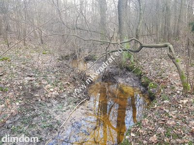 ⭐⭐⭐⭐2500 m2 urokliwa działka przy lesie z MPZP⭐⭐⭐⭐ - 4