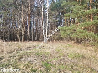 ⭐⭐⭐⭐2500 m2 urokliwa działka przy lesie z MPZP⭐⭐⭐⭐ - 5