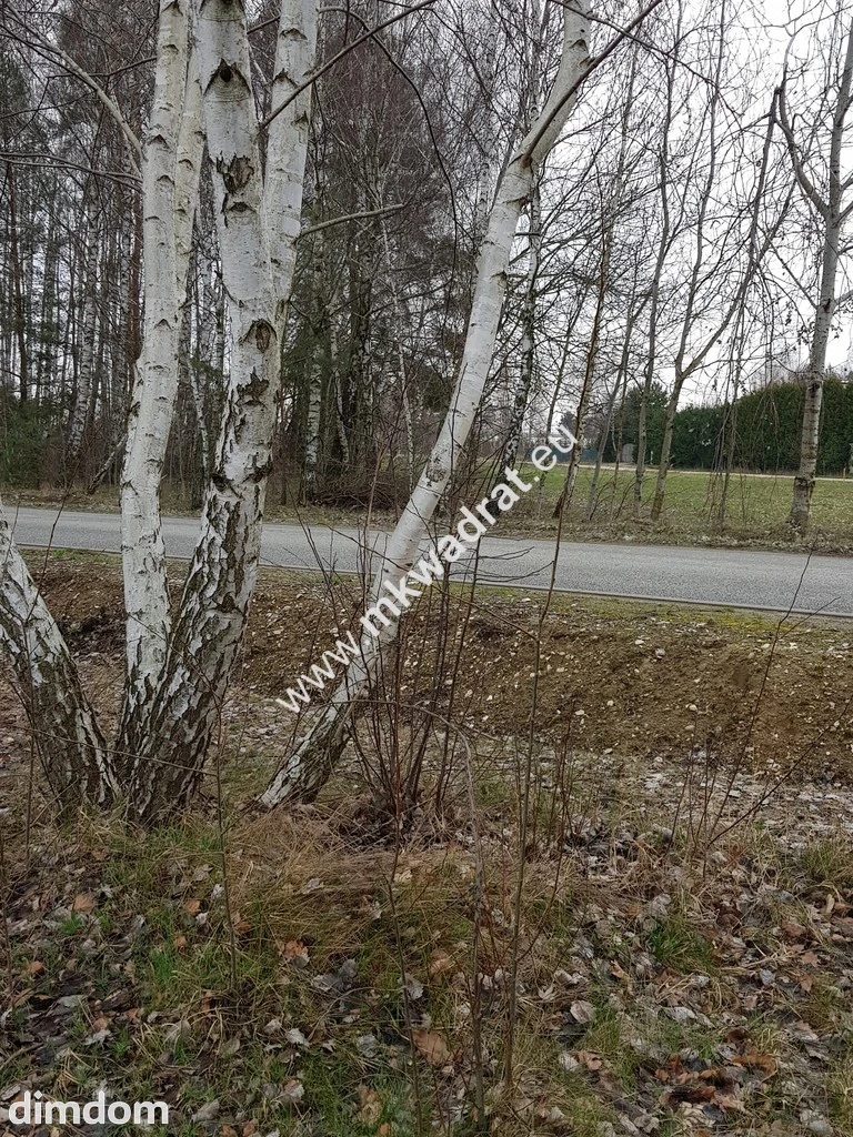 działka budowlana  pod dom 2-lokalowy - 97145497.jpg