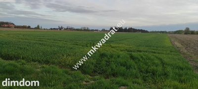 3416m2 Pasikonie k/Kampinosu z warunkami zabudowy! - 3