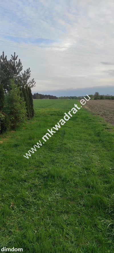 3416m2 Pasikonie k/Kampinosu z warunkami zabudowy! - 4