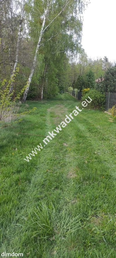 3416m2 Pasikonie k/Kampinosu z warunkami zabudowy! - 2