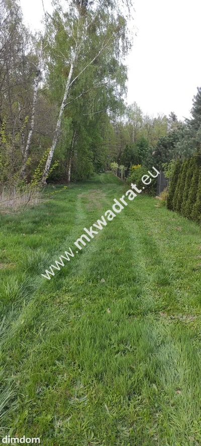 3416m2 Pasikonie k/Kampinosu z warunkami zabudowy! - 5