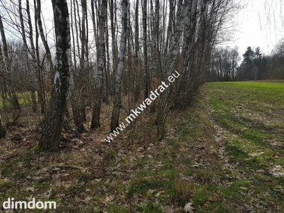 Borszyce gm.Kowiesy działka 7 283 m