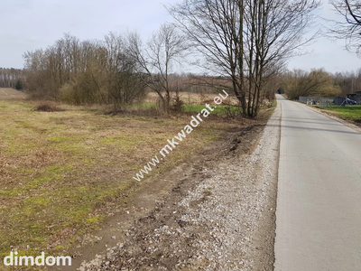 Borszyce gm. Kowiesy działka 11 128 m