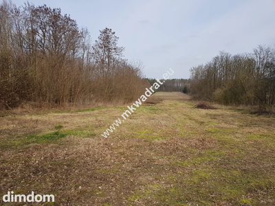 Borszyce gm. Kowiesy działka 11 128 m - 2