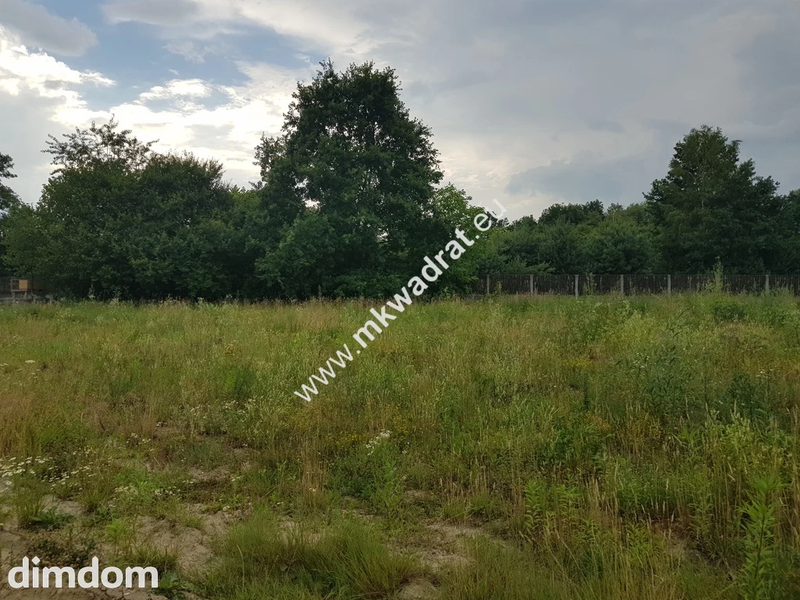 Blisko Podkowy Leśnej - ŻÓŁWIN Łąkowa WKD 1.8km! - 99628774.jpg