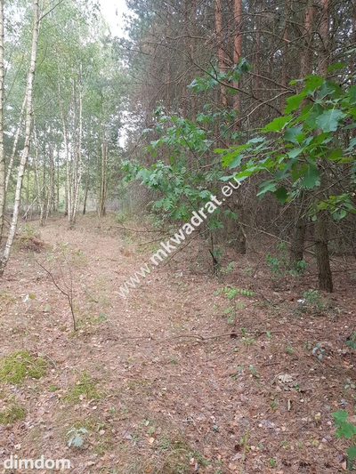 Działka przy drodze gminnej z MPZP - 2