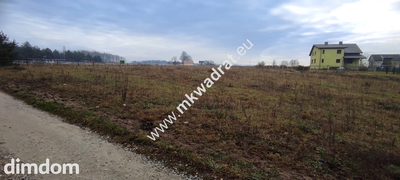 Podział 4 działek 8264m² Tłumy gm Mszczów MPZP 3MN - 4