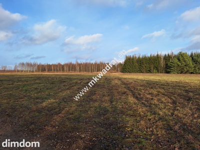 Niedroga działka w uroczej okolicy - 2