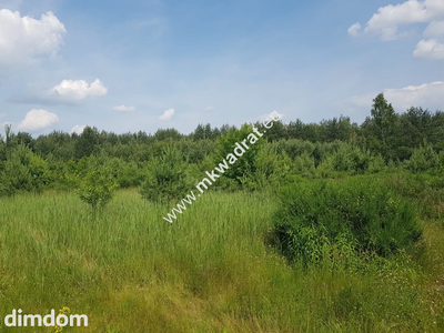 ⭐⭐⭐⭐⭐ Działka 4000 m² - usługowo-budowlana MPZP!