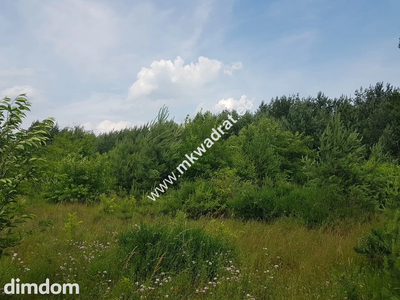 ⭐⭐⭐⭐⭐ Działka 4000 m² - usługowo-budowlana MPZP! - 5