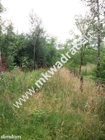 ⭐⭐⭐⭐⭐ Działka 4000 m² - usługowo-budowlana MPZP! - 2