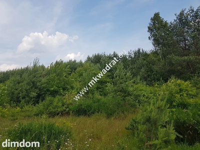 ⭐⭐⭐⭐⭐ Działka 4000 m² - usługowo-budowlana MPZP! - 3